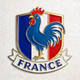 法国国家足球队队徽